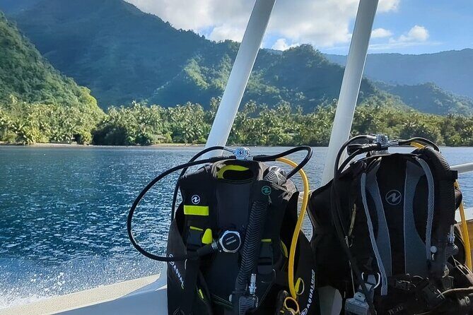 Teahupo'o Jurassic Tour and Private Diving - An In-Depth Look at the Teahupoo Jurassic Tour