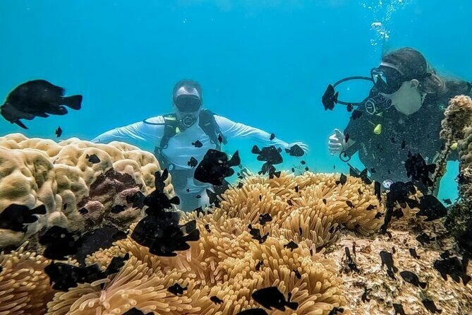 Teahupo'o Jurassic Tour and Private Diving - What Real Travelers Say
