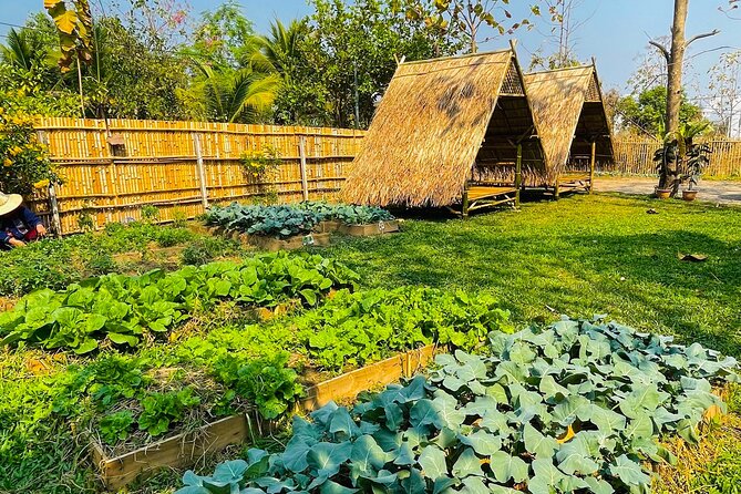 Team Aim Thai Cooking School (#1 Cooking Class in Chiang Mai) - Inclusion and Amenities