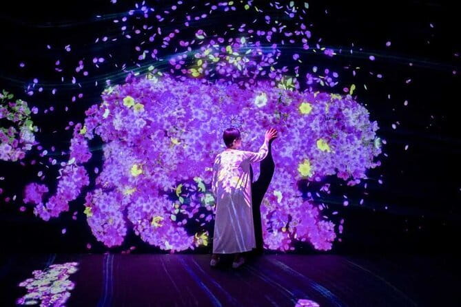 Teamlab Forest Fukuoka an Immersive Art Experience Ticket - Time Slots