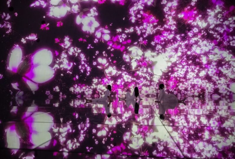 Teamlab Planets Tokyo: Digital Art Museum Entrance Ticket - Immersive Digital Art Experiences