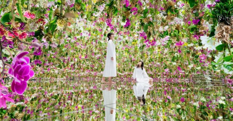 Teamlab Planets Tokyo: Digital Art Museum Entrance Ticket - Exhibition Space and Installations