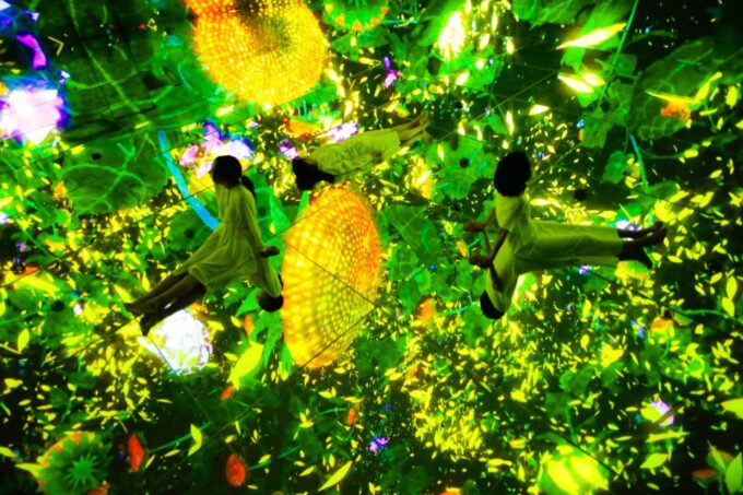 Teamlab Planets Tokyo: Digital Art Museum Entrance Ticket - What to Bring and Expect