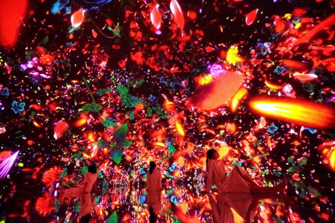 Teamlab Planets Tokyo: Digital Art Museum Entrance Ticket - Frequently Asked Questions