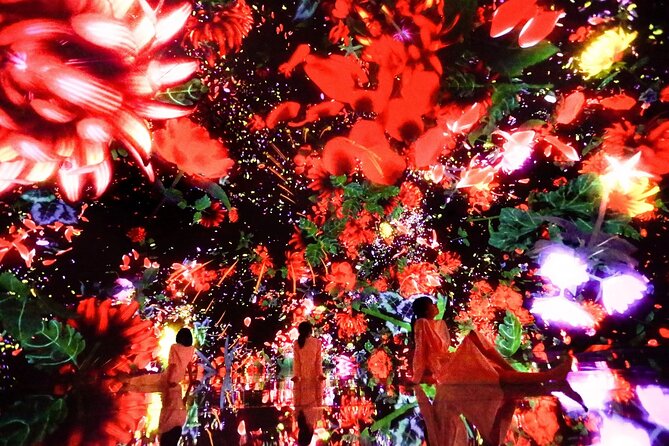 Teamlab Planets Walking Tour With Toyosu Fish Market Buffet Lunch - Traveler Capacity and Policies