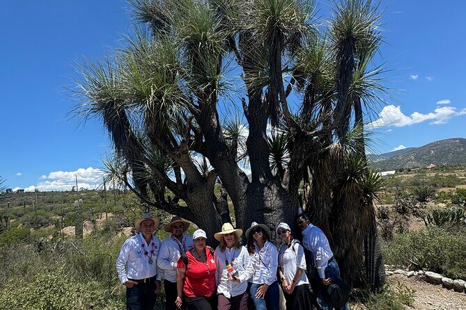 Tehucan Day Tour and Biosphere Reserve - Practical Details