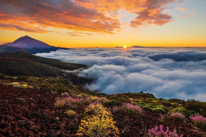 Teide 1/2 Day - Health and Safety Guidelines