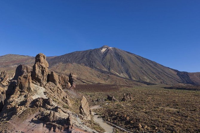 Teide 1/2 Day - Exploring Teide National Park