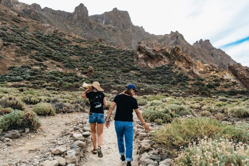 Teide: Guided Sunset and Stargazing Tour With Dinner - Stargazing With Astronomer Guide