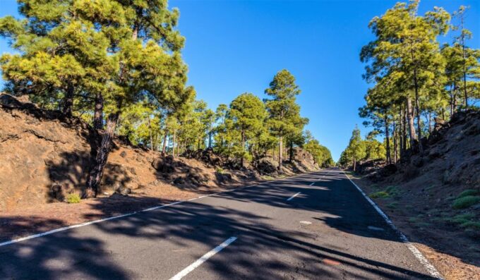 Teide: Guided Sunset and Stargazing Tour With Dinner - Mobility and Pet Restrictions