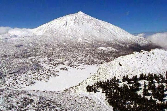 Teide-Icod-Garachico-Masca (Most Popular Bus Tour in Tenerife) - Recommendations for Explorers