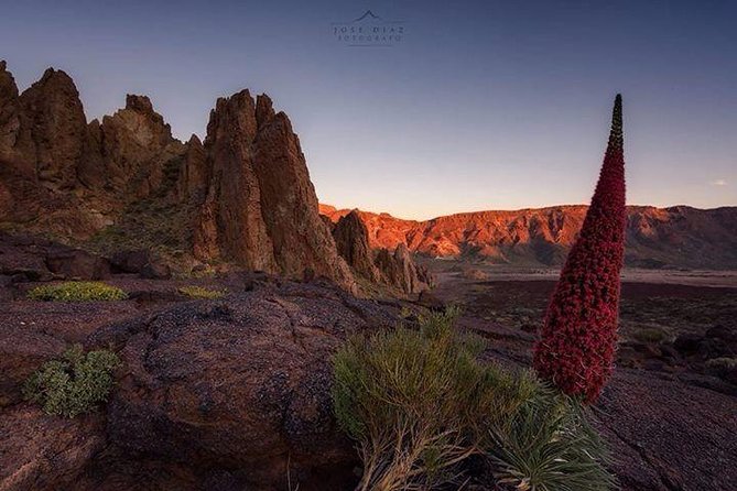 Teide-Icod-Garachico-Masca (Most Popular Bus Tour in Tenerife) - Diverse Landscapes and Local Culture