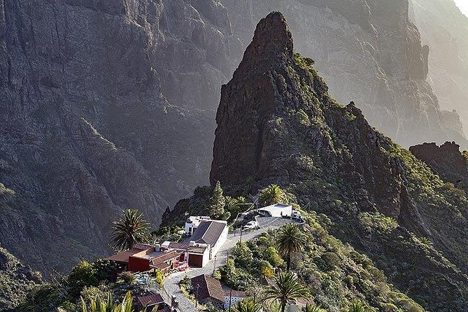 Teide-Icod-Garachico-Masca (Most Popular Bus Tour in Tenerife) - Guides Enthusiasm and Expertise