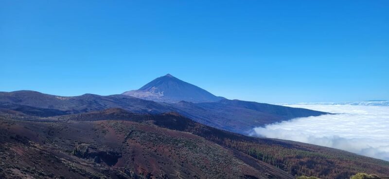 Teide National Park and Vilaflor ; Local Wine Tasting - Optional Wine Tasting