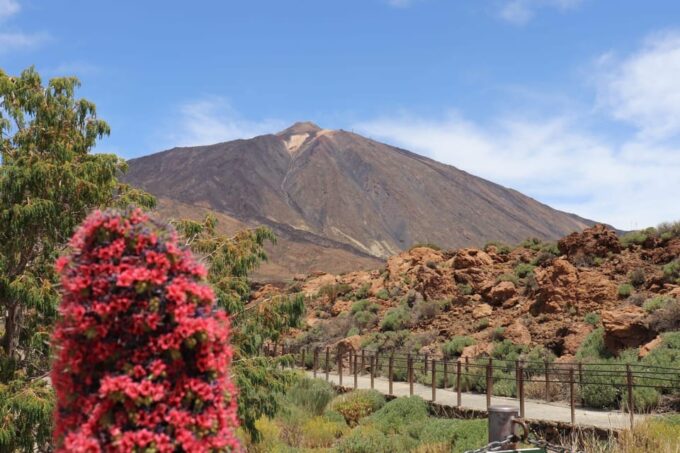 Teide National Park and Vilaflor ; Local Wine Tasting - Pickup and Drop-off Locations