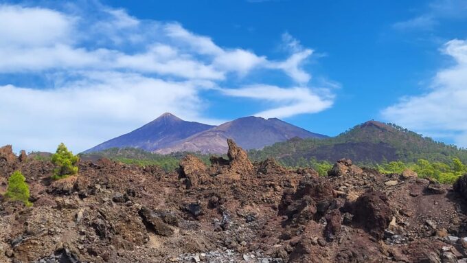 Teide National Park and Vilaflor ; Local Wine Tasting - Cancellation Policy and Payment