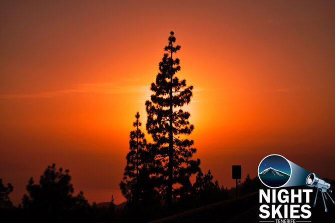 Teide National Park Sunset & Stargazing With Dinner (Star Safari) - Logistics