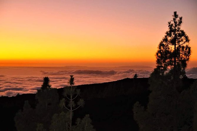 Teide National Park Sunset & Stargazing With Dinner (Star Safari) - Cancellation Policy