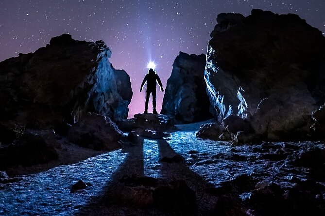 TEIDE NIGHT Astronomy Stargazing Bus Tour, Meal & Drinks Included! - Stargazing Highlights