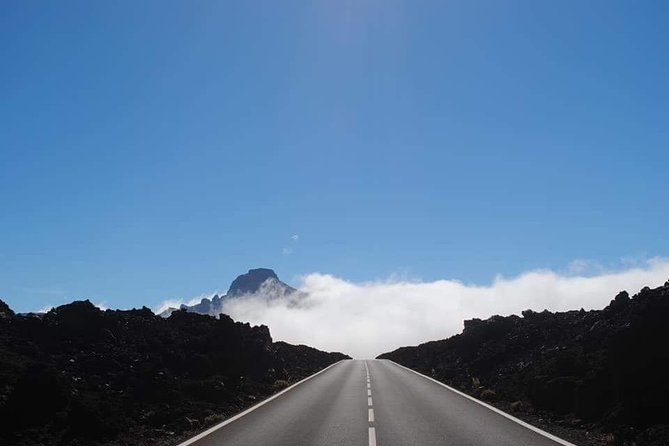 TEIDE NIGHT Astronomy Stargazing Bus Tour, Meal & Drinks Included! - Guest Experiences