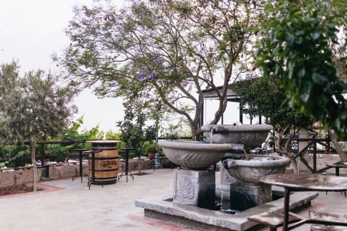 Teide Night Experience With Dinner and Stargazing - Local Wines From Vilaflor