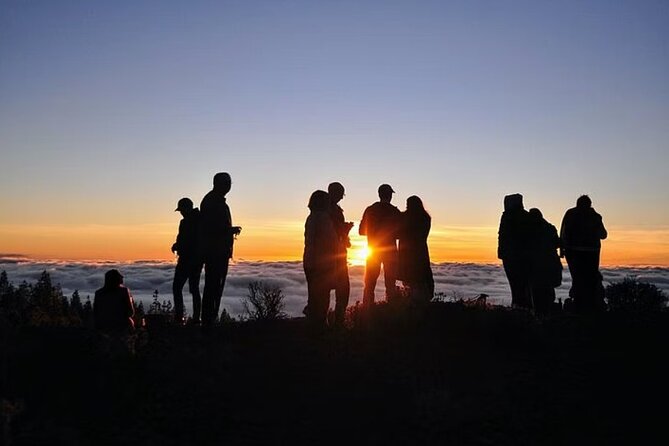 TEIDE Night, Stargazing Bus Tour, Meal & Drinks Included! - What to Expect