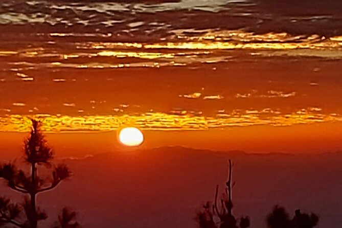 TEIDE Night, Stargazing Bus Tour, Meal & Drinks Included! - Sunset Views and Canarian Meal