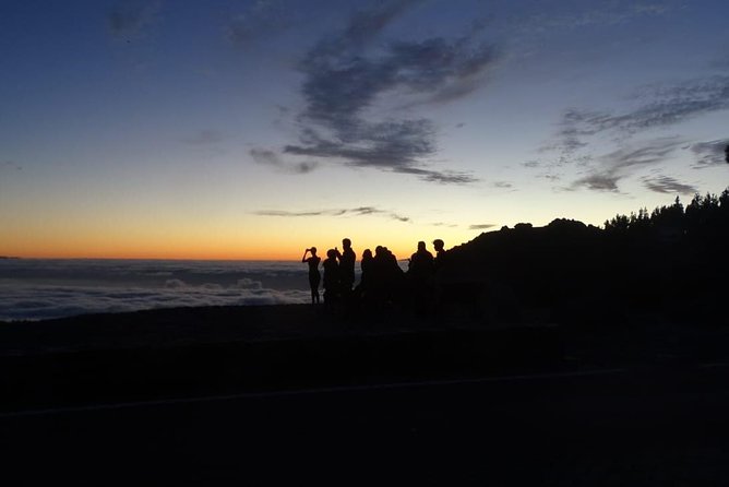 TEIDE Night, Stargazing Bus Tour, Meal & Drinks Included! - Expert-Guided Stargazing Session
