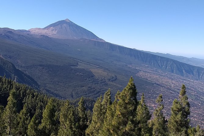 Teide Tenerife'S Jewel - Key Points