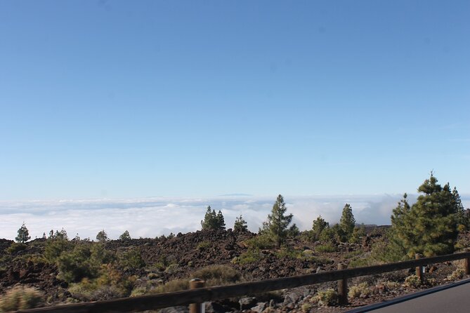Teide Volcano National Park Quad Biking Tour - Important Information