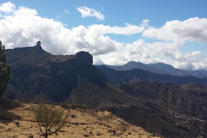 Tejeda & Sacred Mountains With Tapas Meal by 2 Native Guides - Immersive Tapas Experience