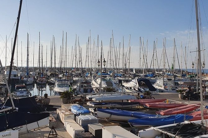 Tel Aviv Highlights Bike Tour - Personalized Service