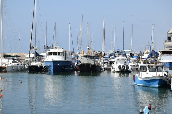 Tel Aviv, Yaffo and Tel Aviv Skyline Tour - Tour Guide Expertise