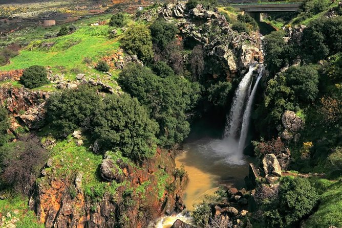 Tel Dan and Baniyas National Parks Private Tour - About Your Stay