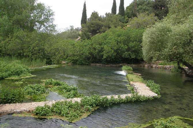 Tel Dan and Baniyas National Parks Private Tour - Tel Dan Nature Reserve