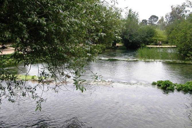 Tel Dan and Baniyas National Parks Private Tour - Banias Nature Reserve