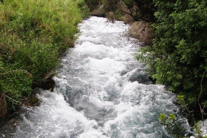 Tel Dan and Baniyas National Parks Private Tour - Tour Inclusions