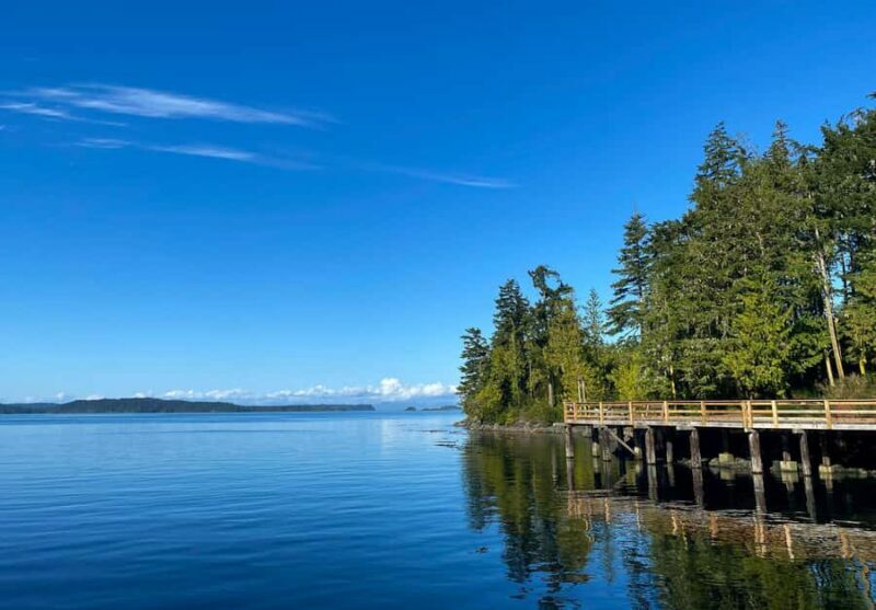Telegraph Cove: 2-Hour Day or Evening Kayaking Tour - An Overview of the Experience