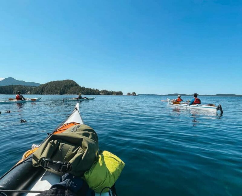 Telegraph Cove: 2-Hour Day or Evening Kayaking Tour - The Itinerary in Detail