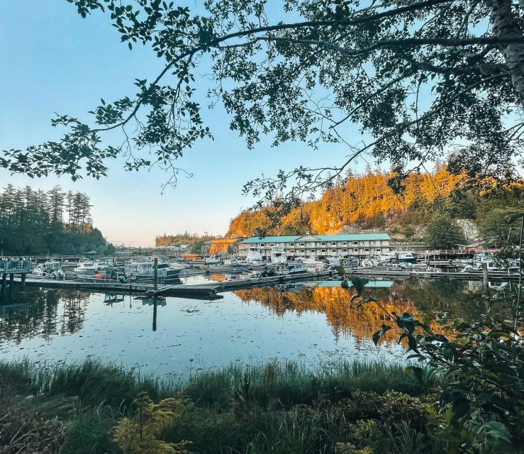 Telegraph Cove: 2 Hour Evening Kayak Tour - Experience Highlights
