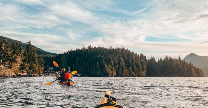 Telegraph Cove: 2 Hour Evening Kayak Tour - Participant Restrictions