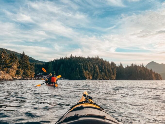 Telegraph Cove: 2 Hour Evening Kayak Tour - What to Expect on the Tour