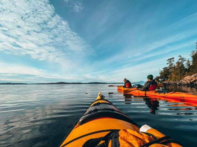 Telegraph Cove: 2 Hour Evening Kayak Tour - Book Your Tour Now