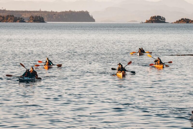 Telegraph Cove: 2 Hour Family Fun Kayaking Tour - Whats Included
