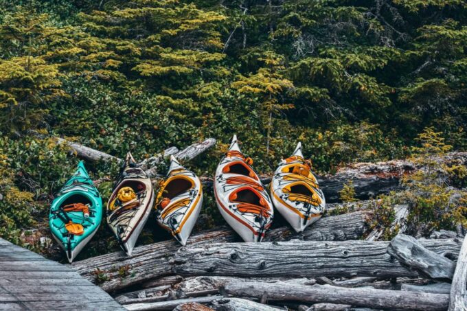 Telegraph Cove: 2 Hour Family Fun Kayaking Tour - Frequently Asked Questions