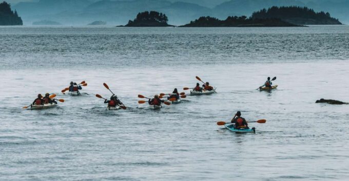 Telegraph Cove: 2 Hour Family Fun Kayaking Tour - Recap