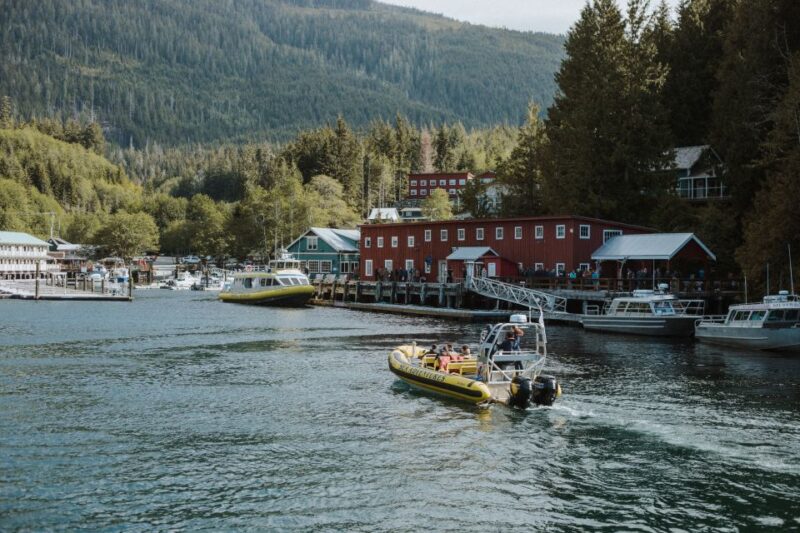 Telegraph Cove: 3-Hour Whale Watching Tour in a Zodiac Boat - Tour Features