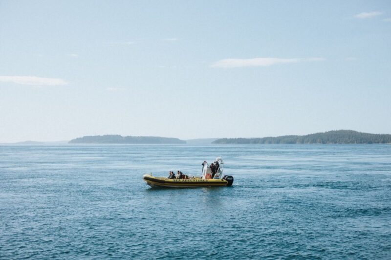 Telegraph Cove: 3-Hour Whale Watching Tour in a Zodiac Boat - Meeting Details