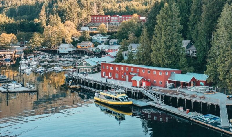 Telegraph Cove: 3-Hour Whale Watching Tour in a Zodiac Boat - Participant Restrictions