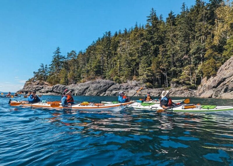 Telegraph Cove: Day Trip Kayaking Tour - Key Points
